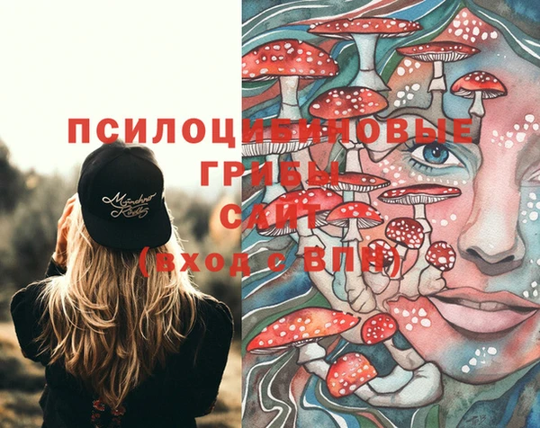 синтетический гашиш Переславль-Залесский