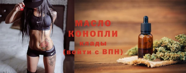 гашик Осинники